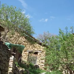 48_2_visalibons_punto