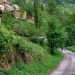 36_camino_solano_781