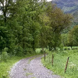 37_camino_castejon_sos_arasan_789